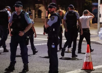 Artefacto explosivo encontrado en coche vinculado al tirador de Sidney