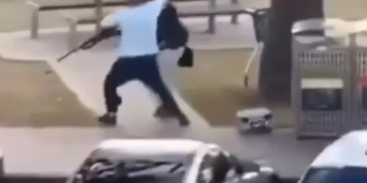 Captura de pantalla de Ahmed al Ahmed, de 43 años, dueño de una frutería, arrebatándole el arma a uno de los dos hombres armados que atacaron un evento de Janucá en la playa Bondi de Sídney, el 14 de diciembre de 2025. (Imágenes de X, utilizadas de acuerdo con la cláusula 27a de la ley de derechos de autor)