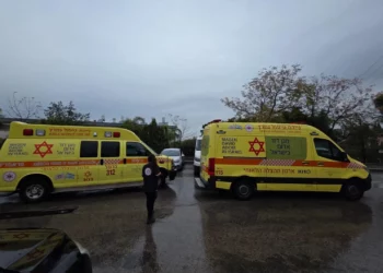 Paramédicos del Magen David Adom en Yokne'am Illit después de que se encontraran dos cadáveres en un apartamento en la ciudad norteña el 9 de diciembre de 2025. (Magen David Adom)