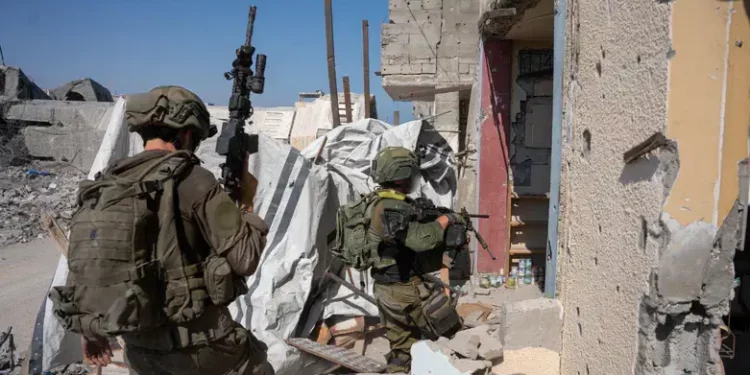 צילום: דובר צה"ל