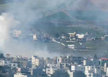 Awidat basal/Flash90