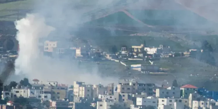 Awidat basal/Flash90