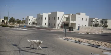 Ilustrativo: Casas en Mitzpe Ramon, en el desierto del Néguev, en octubre de 2016. (Lior Mizrahi/Flash90)