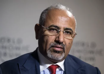 Consejo antihutí de Yemen expulsa al líder separatista: acusado de traición