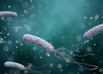 Israel desarrolla fármacos que nacen dentro del cuerpo con bacterias