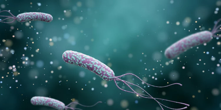 Israel desarrolla fármacos que nacen dentro del cuerpo con bacterias