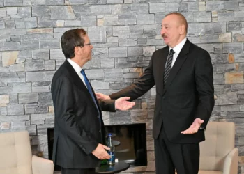 Herzog se reúne con líderes de Azerbaiyán y Suiza en Davos