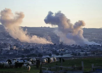 Las FDI eliminan un objetivo de Hezbolá en el Líbano