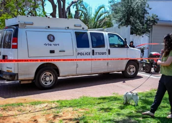 Hallan un feto humano en una alcantarilla bajo un edificio residencial de Hadera