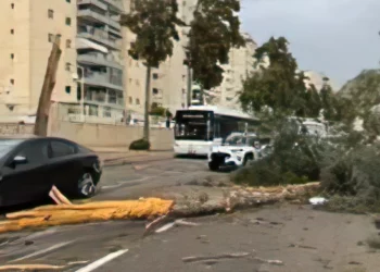 Tormenta con vientos extremos en Israel: un muerto y daños graves