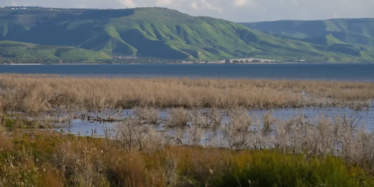 Vista del Mar de Galilea, al norte de Israel, el 19 de febrero de 2024. (Michael Giladi/Flash90)