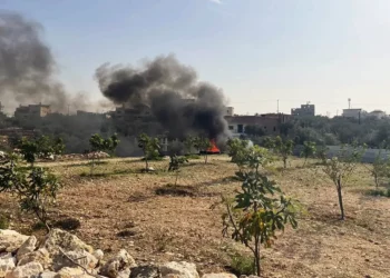 Quema ilegal de residuos electrónicos cerca de Azzoun, al norte de Cisjordania, el 24 de noviembre de 2025. (Sue Surkes/Times of Israel)