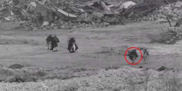 Las FDI atacaron un edificio en Beit Janún tras detectar a hombres armados