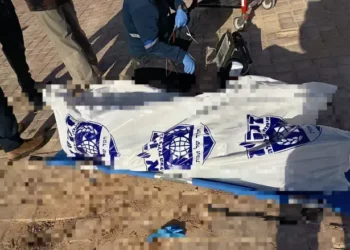 Salió a hacer senderismo en el Néguev con su perro y murió