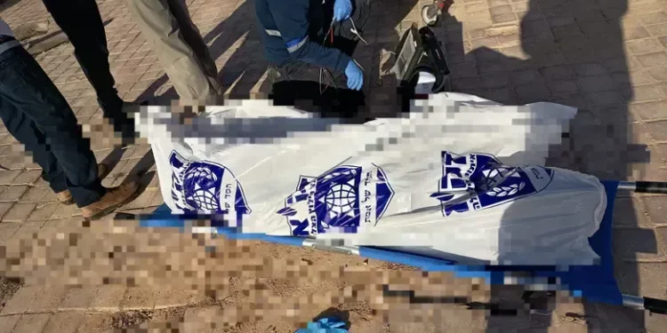 Salió a hacer senderismo en el Néguev con su perro y murió