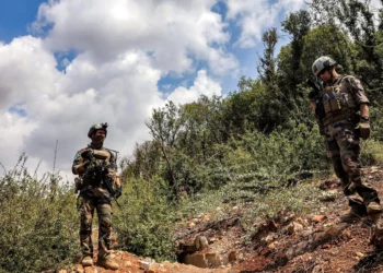 Líbano acusa a Israel de rociar herbicida en su lado de la frontera