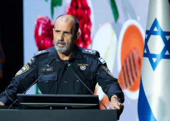 Jefe de policía culpa al sistema judicial por “las manos atadas” contra el crimen