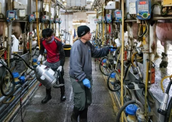 El Ministerio de Agricultura critica la reforma del sector lácteo de Smotrich