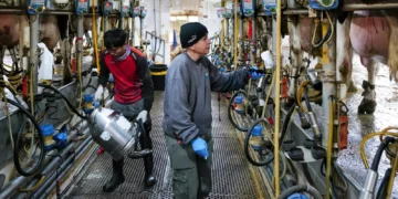 El Ministerio de Agricultura critica la reforma del sector lácteo de Smotrich