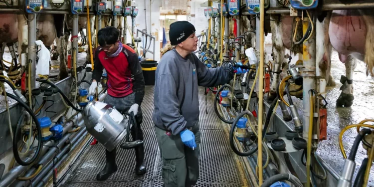 El Ministerio de Agricultura critica la reforma del sector lácteo de Smotrich