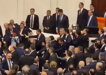 Una pelea estalló en el Parlamento turco durante el juramento de Akin Gurlek