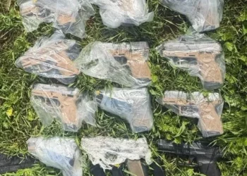 El ejército y la policía impidieron el ingreso de 12 pistolas desde Jordania