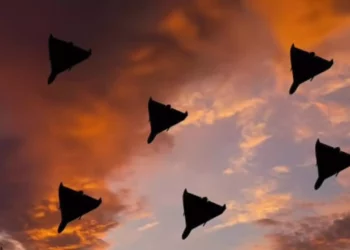 Se escuchan nuevas explosiones en Riad: tras ataque a la embajada estadounidense