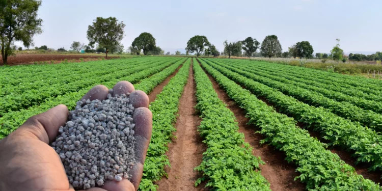 Rusia no puede cubrir déficit mundial de fertilizantes por guerra