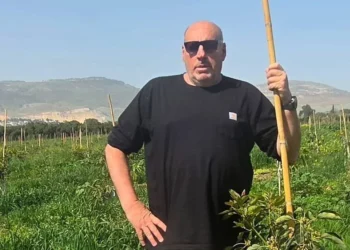 Israel investiga si Ofer Moskovitz murió por artillería de las FDI