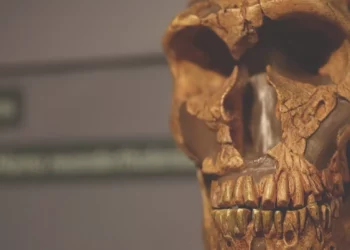 La selección natural dejó 500 marcas nuevas en el ADN humano