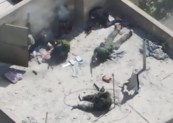 Hezbolá mata a perro militar israelí que los descubrió en Bint Jbeil