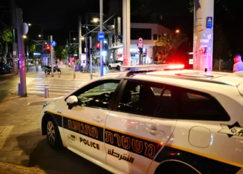 Detenidos dos sospechosos del tiroteo contra el alcalde de Arraba y su teniente de alcalde