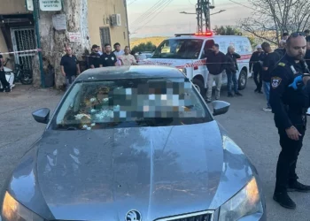 Un hombre fue tiroteado en la localidad drusa de Ein al-Asad