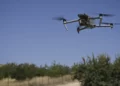 Dron (ilustración)