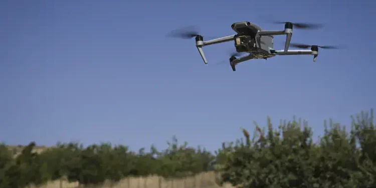 Dron (ilustración)