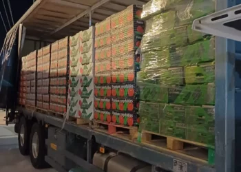 Frenan el ingreso ilegal de 25 toneladas de alimentos de origen palestino