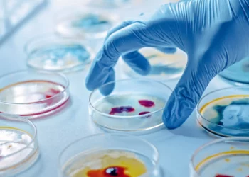 Científicos israelíes descubren que los microbios reducen sus guerras internas para ser más productivos