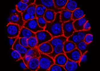 Pastilla experimental duplica la supervivencia en cáncer de páncreas avanzado