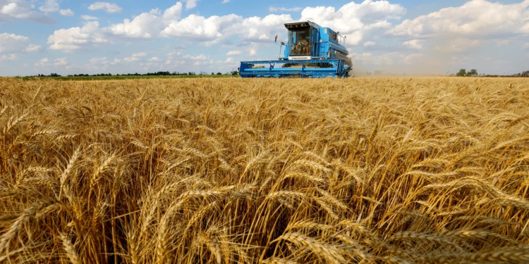 Moscú lamenta decisión de empresa israelí de no adquirir cereales rusos