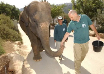 El Zoo Bíblico de Jerusalén abre un centro en honor a Shai Doron