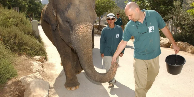 El Zoo Bíblico de Jerusalén abre un centro en honor a Shai Doron