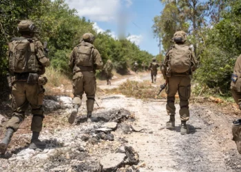 Tensión entre mandos militares y políticos en el Consejo de ministros