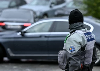 Suiza avanza hacia la prohibición total de símbolos nazis