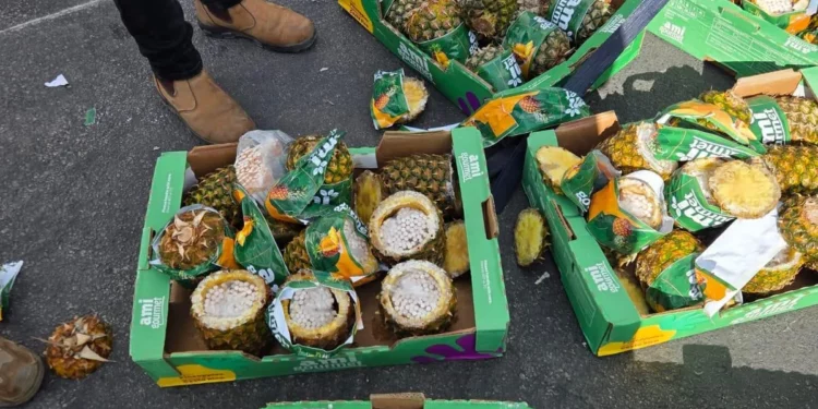 Israel incauta piñas con cigarrillos ocultos en camión rumbo a Gaza