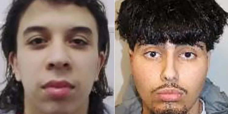 Dos hombres reciben prisión condicional por “pescar judíos” en Londres