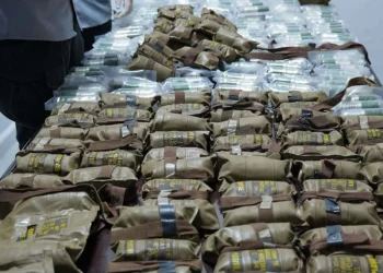 Las autoridades sirias anunciaron que frustraron un intento de introducir de contrabando más de 200 granadas en el Líbano