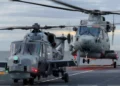 Planes y perspectivas de Leonardo para modelos Merlin y Wildcat