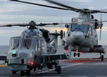 Planes y perspectivas de Leonardo para modelos Merlin y Wildcat