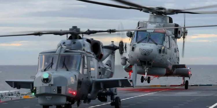 Planes y perspectivas de Leonardo para modelos Merlin y Wildcat