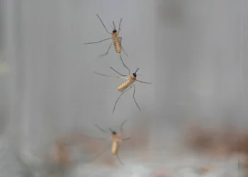 fiebre del Nilo